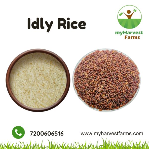 idly rice