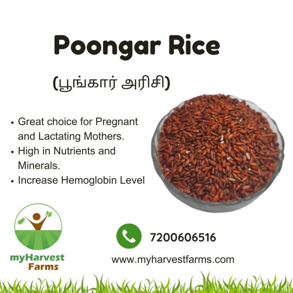 poongar rice