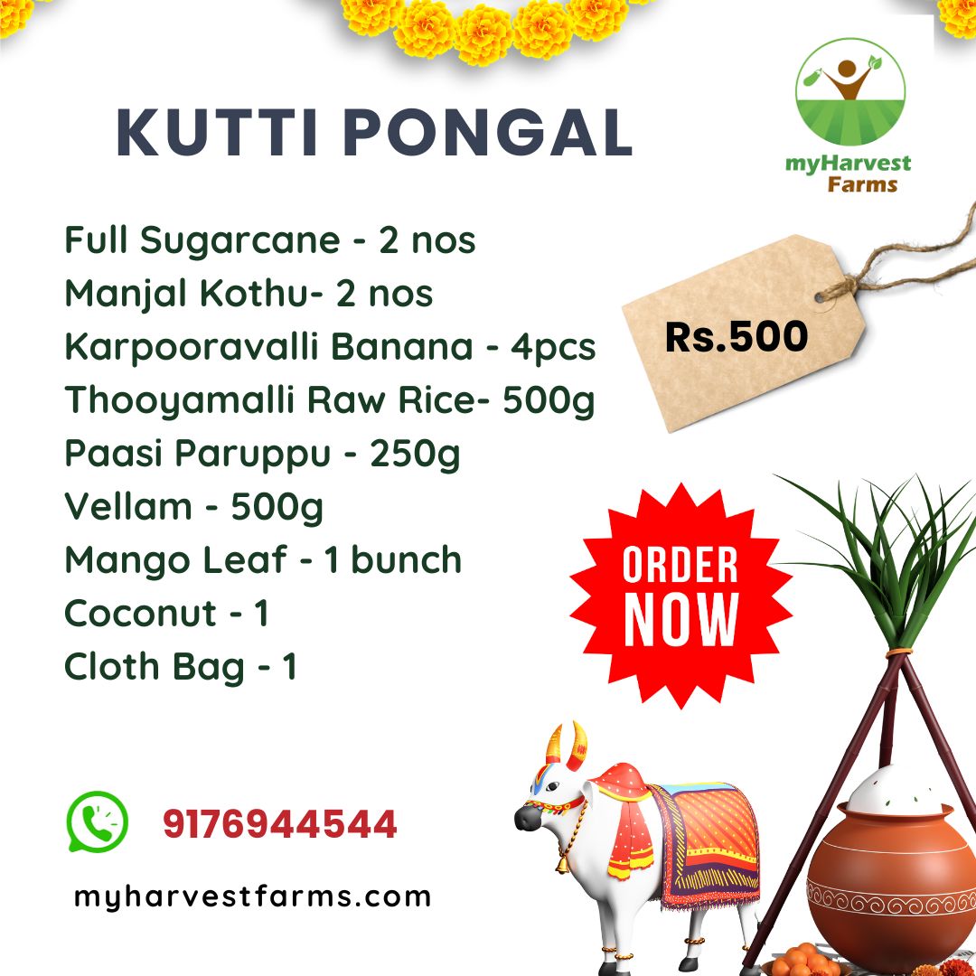 BTC Pongal Special Steamed Kolam Rice (25 Kg) | Udaan - B2B Buying for  Retailers